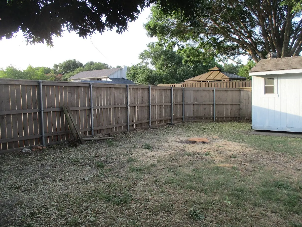 Cleared yard after professional tree removal in Hatfield